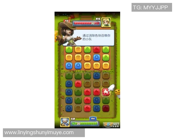 李丽独家揭秘英雄联盟游戏技巧与心得体会分享