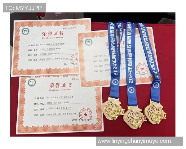 武汉街舞队在世界攀岩锦标赛中的力量与技巧完美结合的精彩点评