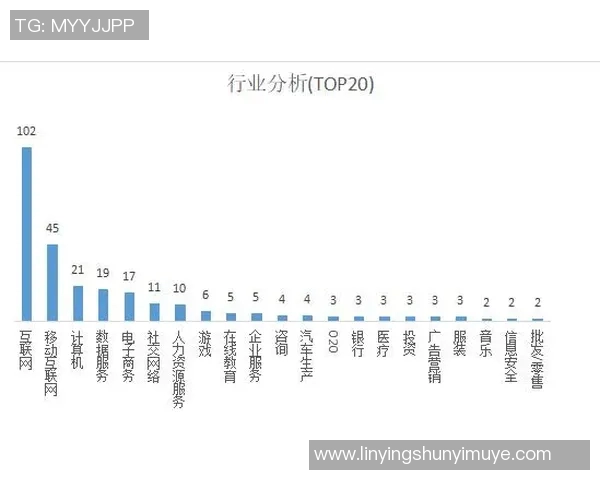 独家分析：BLG战队配合策略与其他战队的全面对比解析