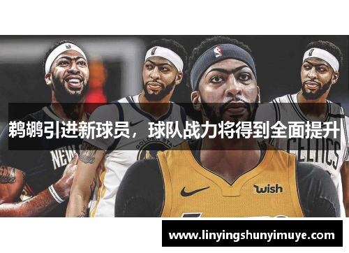 鹈鹕引进新球员，球队战力将得到全面提升