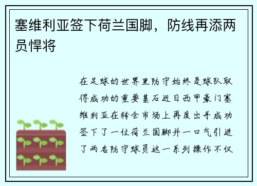 塞维利亚签下荷兰国脚，防线再添两员悍将